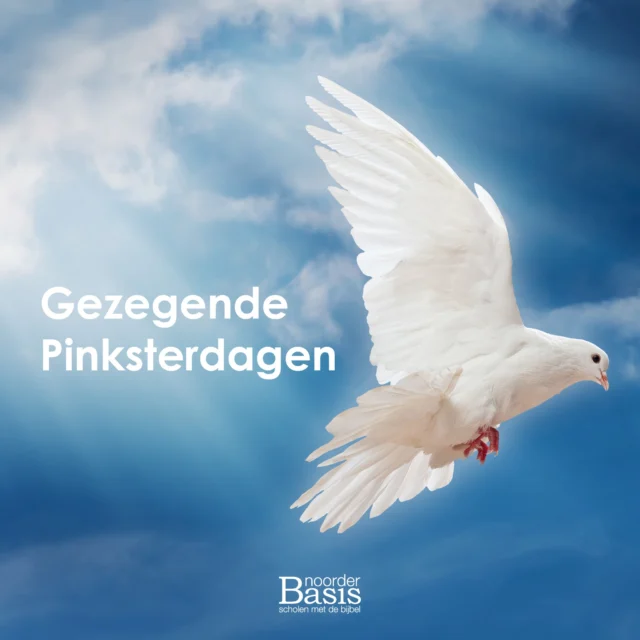 Instagram bericht 17887726041162203