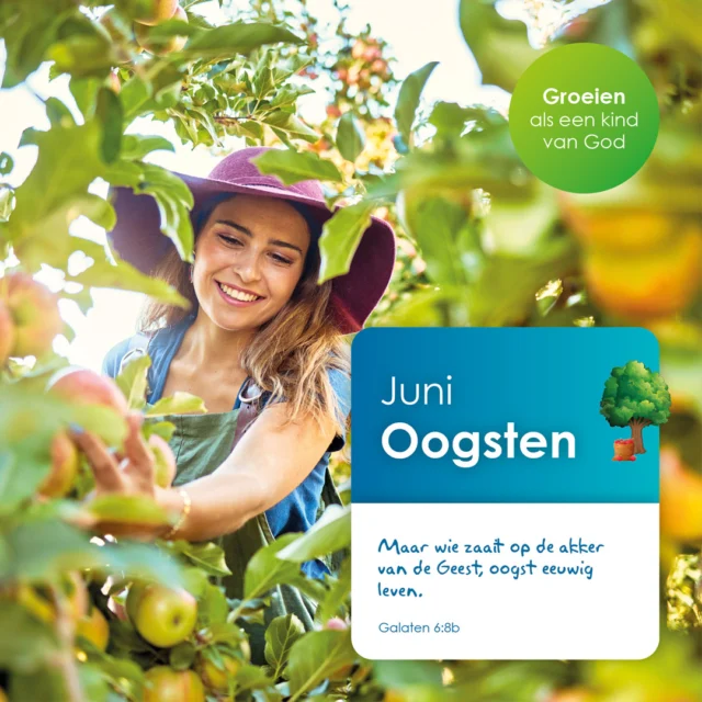 Vandaag openden we de maand juni met het thema oogsten. Het hele jaar zijn we al bezig geweest met het het goede doen voor de oogst; we hebben de grond bewerkt zodat de zaadjes ruimte hebben om te groeien. We hebben zaadjes gezaaid. Licht en water waren nodig om het zaadje te laten ontkiemen en verder te laten groeien. Het plantje werd groter totdat het ging bloeien en vrucht dragen. Als dat zo is kan je gaan oogsten. Doordat we het goede hebben gedaan, kunnen we nu oogsten. Als we in ons leven het goede doen kunnen we straks als Jezus terugkomt oogsten! Welke goede dingen kun jij doen?